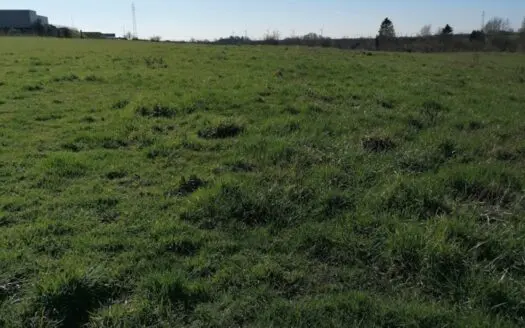 Terrain À vendre