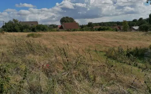 Terrain À vendre